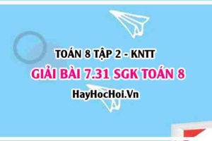 Bài 7.31 SGK Toán 8 Tập 2 Kết nối tri thức